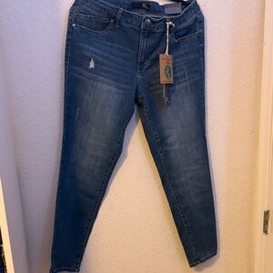 1822 Denim Classic Blue Skinny Jeans